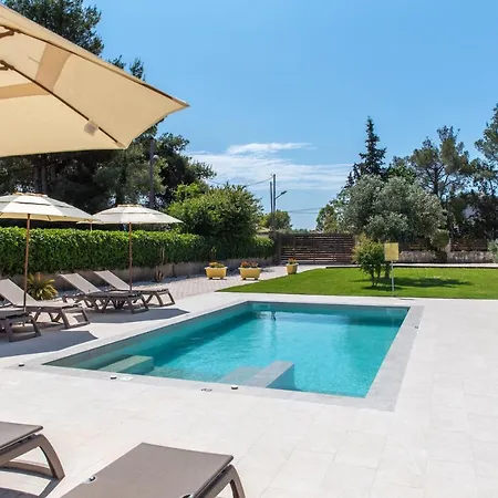 Idothea Stone Kalpaki (Zakynthos)