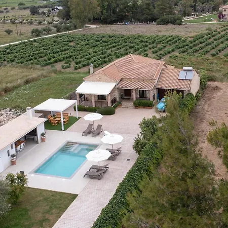 Idothea Stone * Kalpaki (Zakynthos)